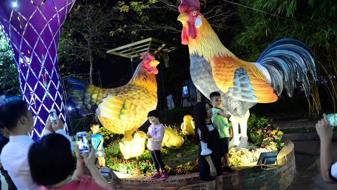 Thành phố Hồ Chí Minh khai mạc chợ hoa Xuân Bình Điền 2017 - ảnh 1